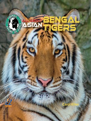 cover image of All About Asian Bengal Tigers